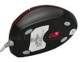 ladybug mouse 3